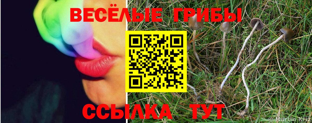 Псилоцибиновые грибы ЛСД  Псилоцибиновые грибы GOLDEN TEACHER  цены   Вход с VPN  Полевской 