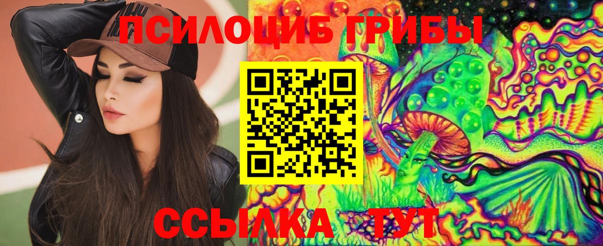 Псилоцибиновые грибы GOLDEN TEACHER Полевской